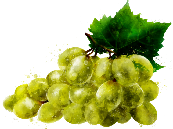 Green grape