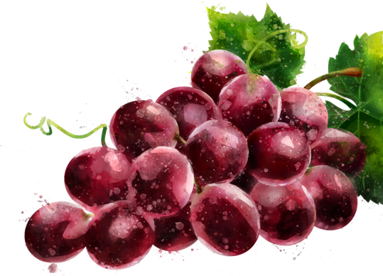 Red grape