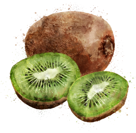 Kiwi